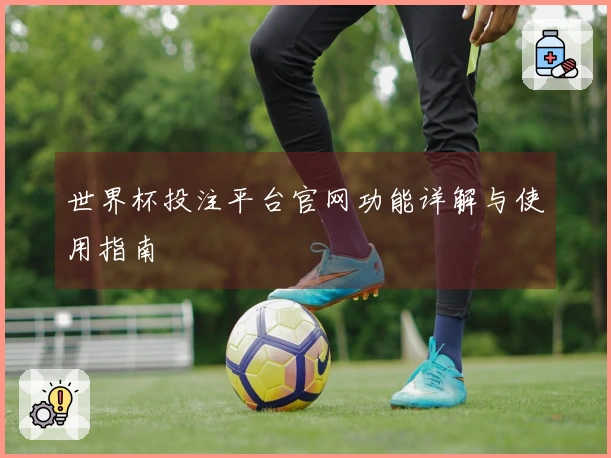 世界杯投注平台官网功能详解与使用指南