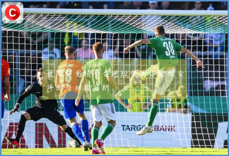 世界杯竞猜平台地址使用体验综合评测与功能分析