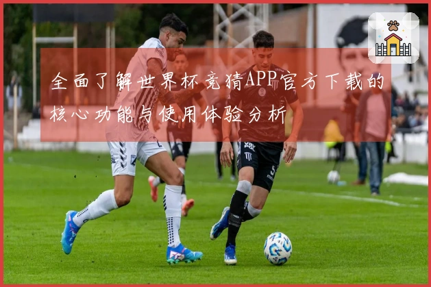 全面了解世界杯竞猜APP官方下载的核心功能与使用体验分析