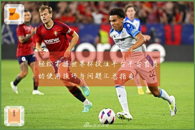 轻松掌握世界杯投注平台平台首页的使用技巧与问题汇总指南