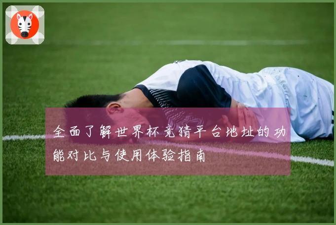 全面了解世界杯竞猜平台地址的功能对比与使用体验指南