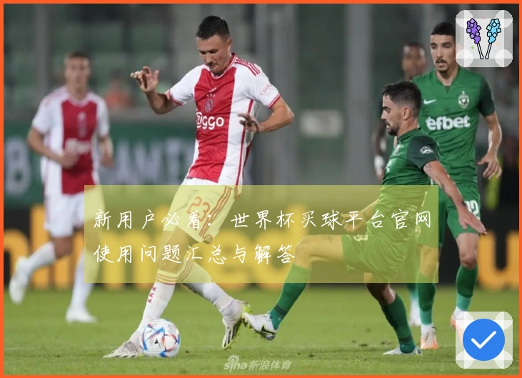 新用户必看：世界杯买球平台官网使用问题汇总与解答