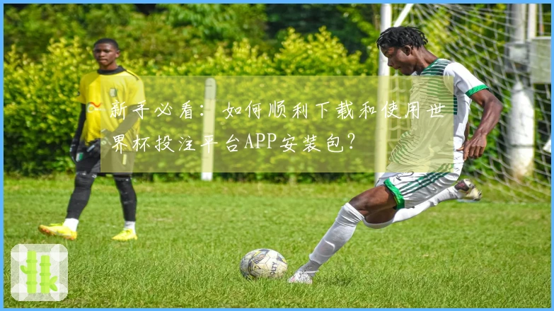 新手必看：如何顺利下载和使用世界杯投注平台APP安装包？