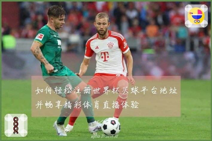 如何轻松注册世界杯买球平台地址并畅享精彩体育直播体验