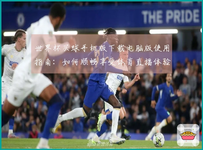 世界杯买球手机版下载电脑版使用指南：如何顺畅享受体育直播体验