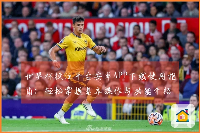 世界杯投注平台安卓APP下载使用指南：轻松掌握基本操作与功能介绍